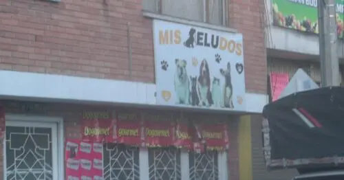 MIS PELUDOS BOGOTÁ MIS PELUDOS BOGOTÁ